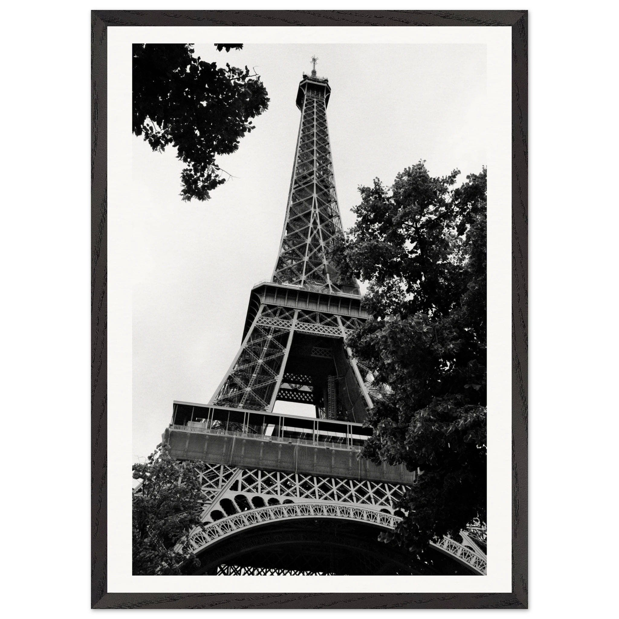 195cd069-5b73-45d1-acaf-8e6f7b94a9f8