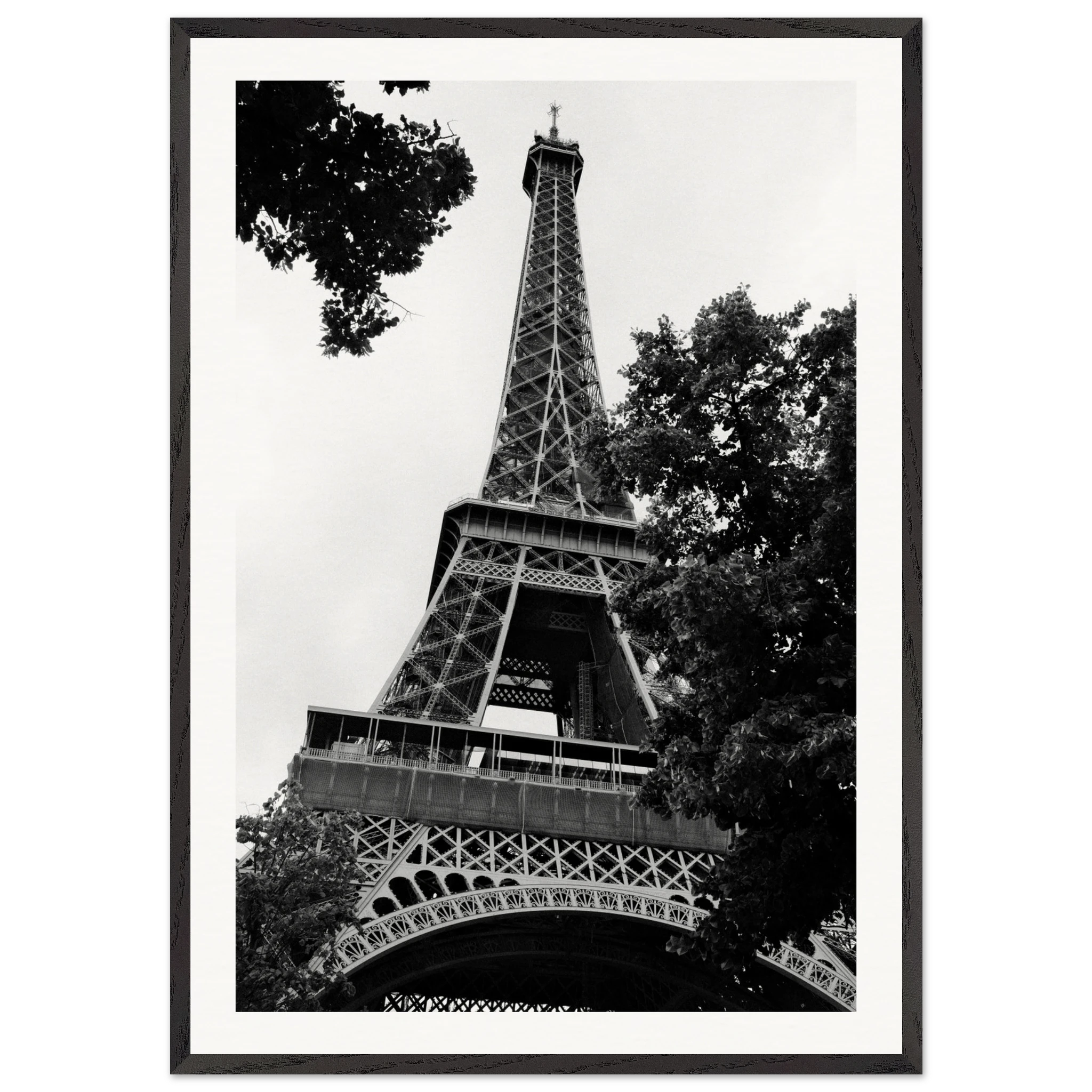 1fa8390e-1984-4cd9-865e-32834c567951