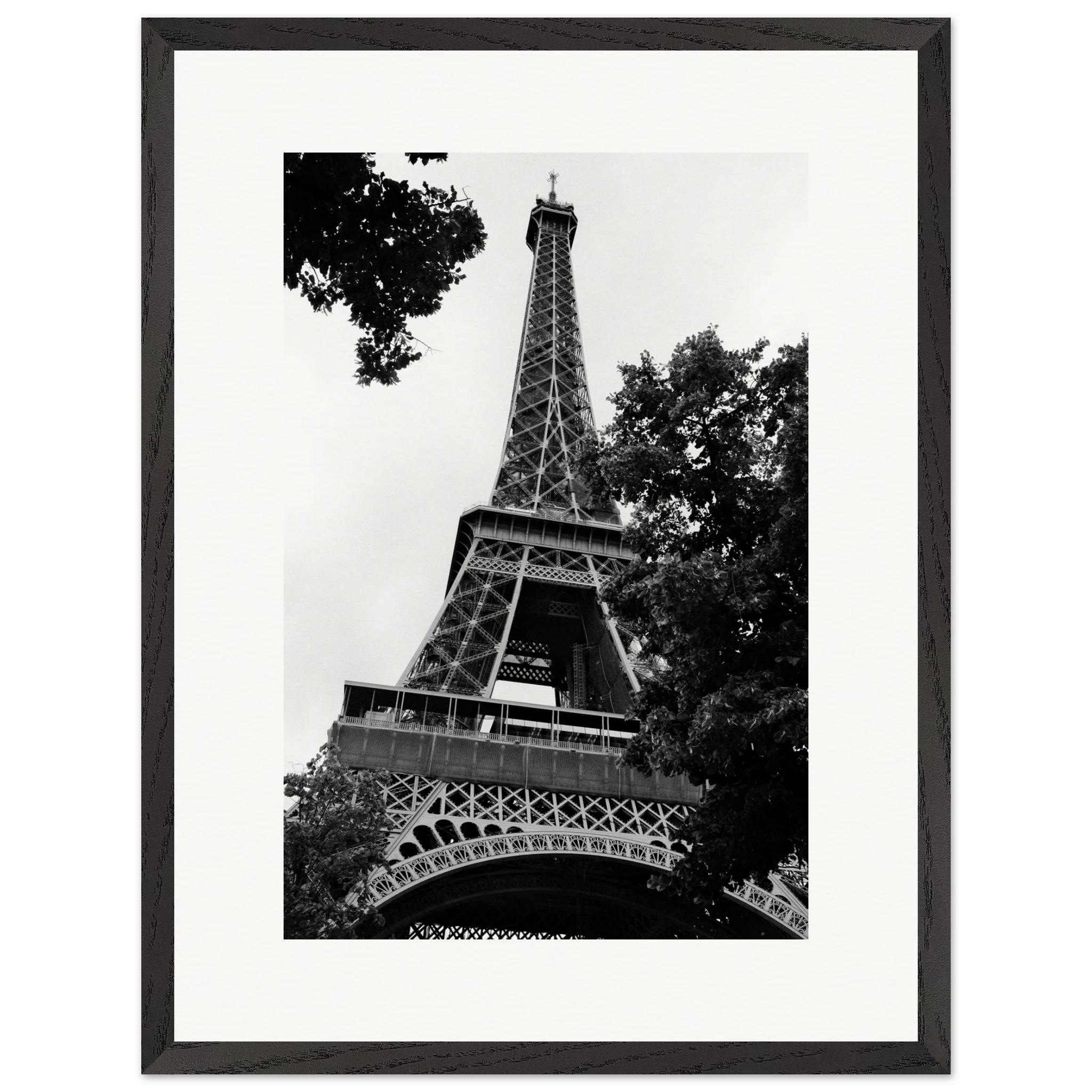 5c866910-2f39-4c22-8406-3fdf390a617d