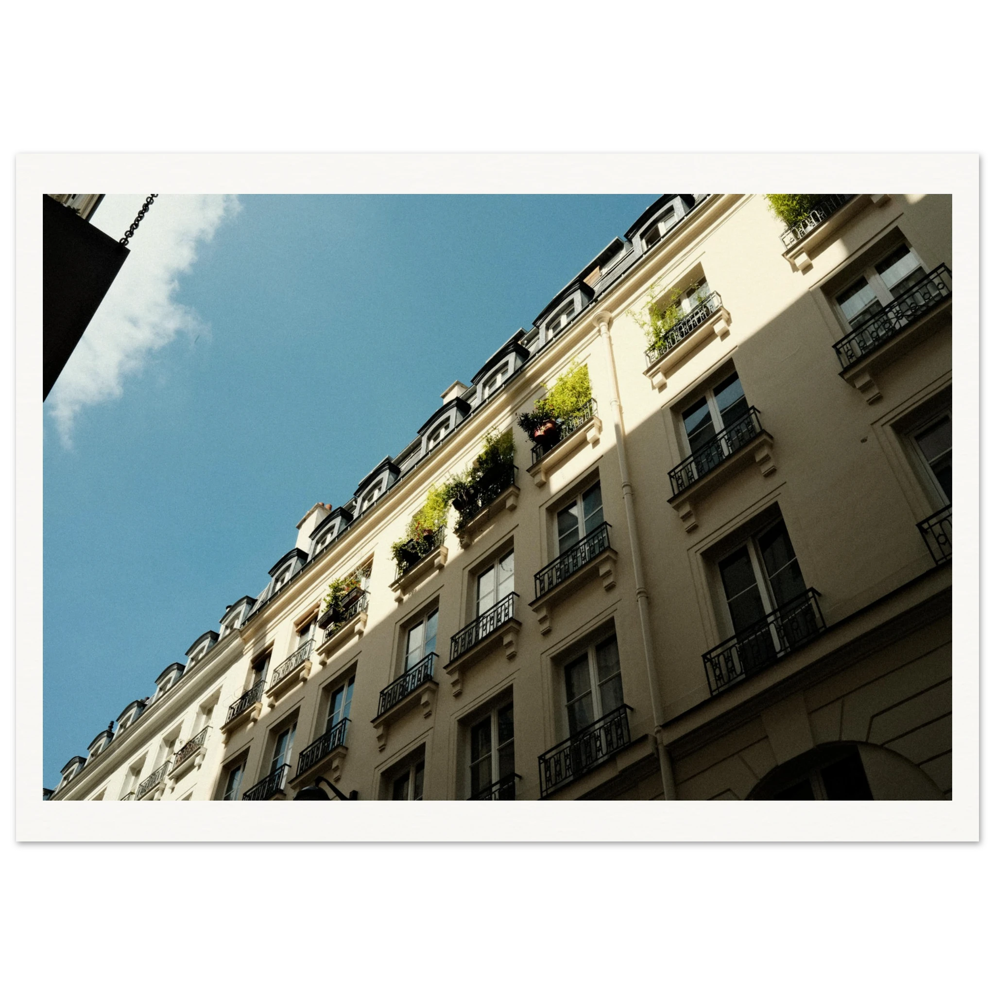 62fd1933-3450-434a-88a0-dc8096dff627