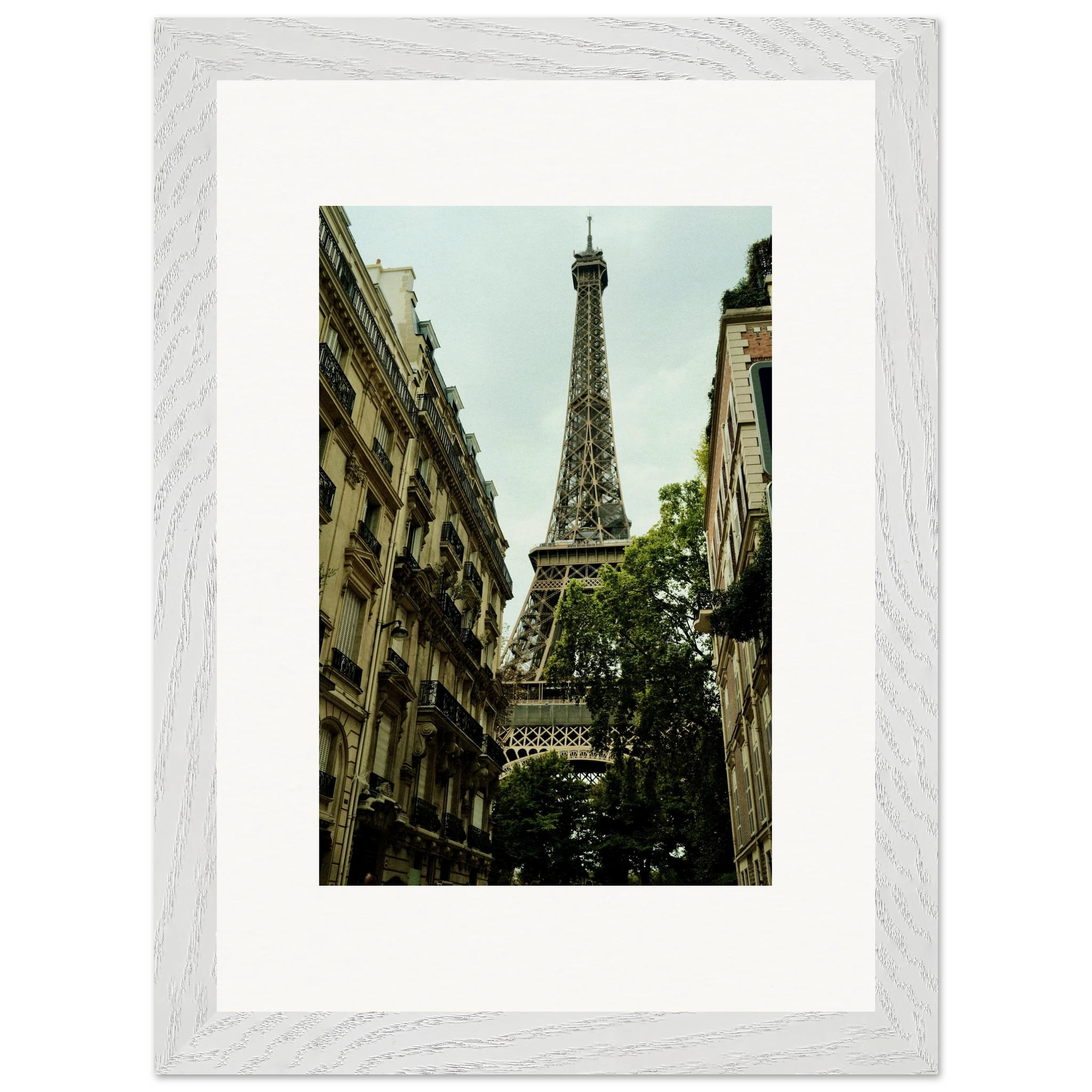 6962c9ce-0247-4dfb-980b-cdc9f1c8c145