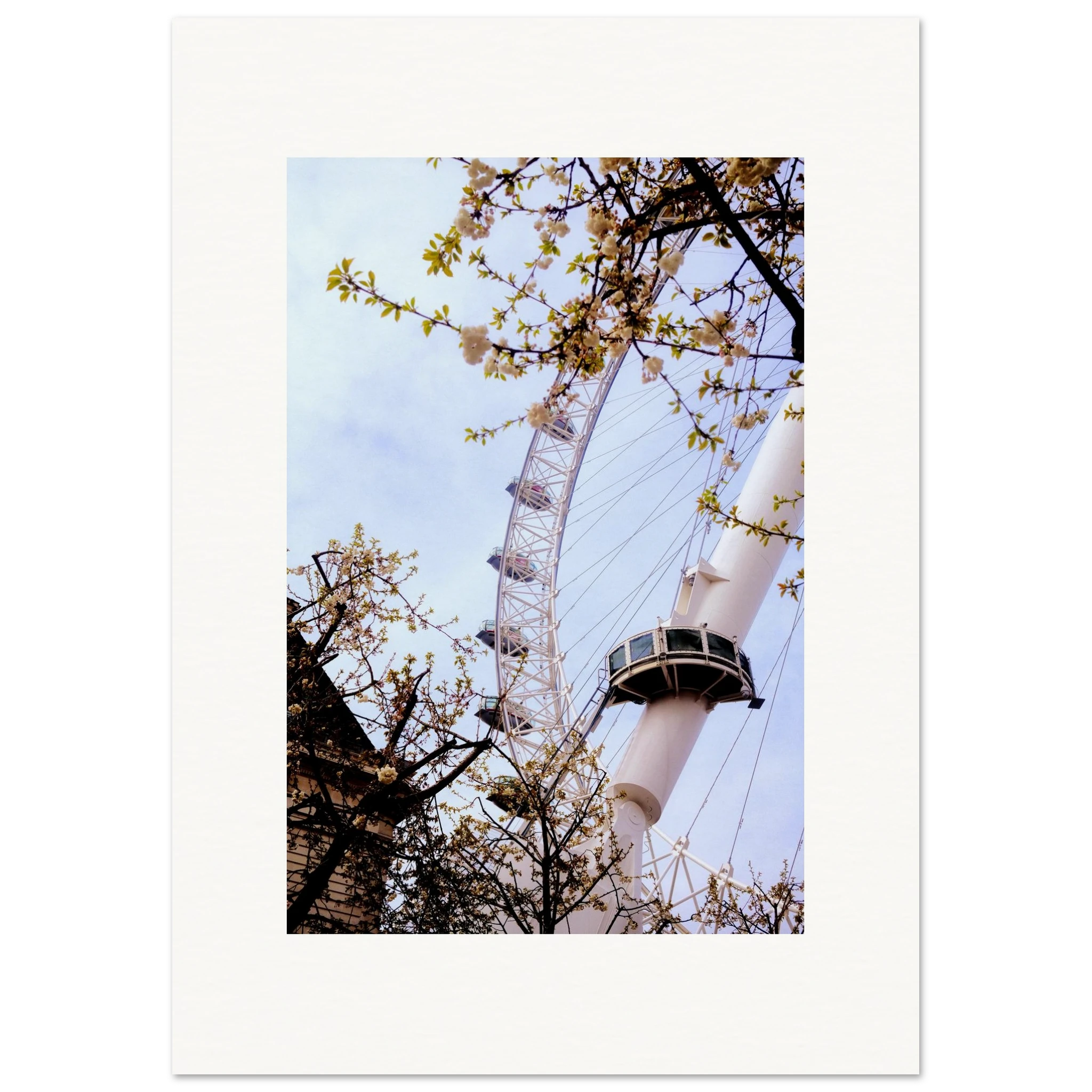 84461135-68b4-44b7-ae10-ce7637f71171