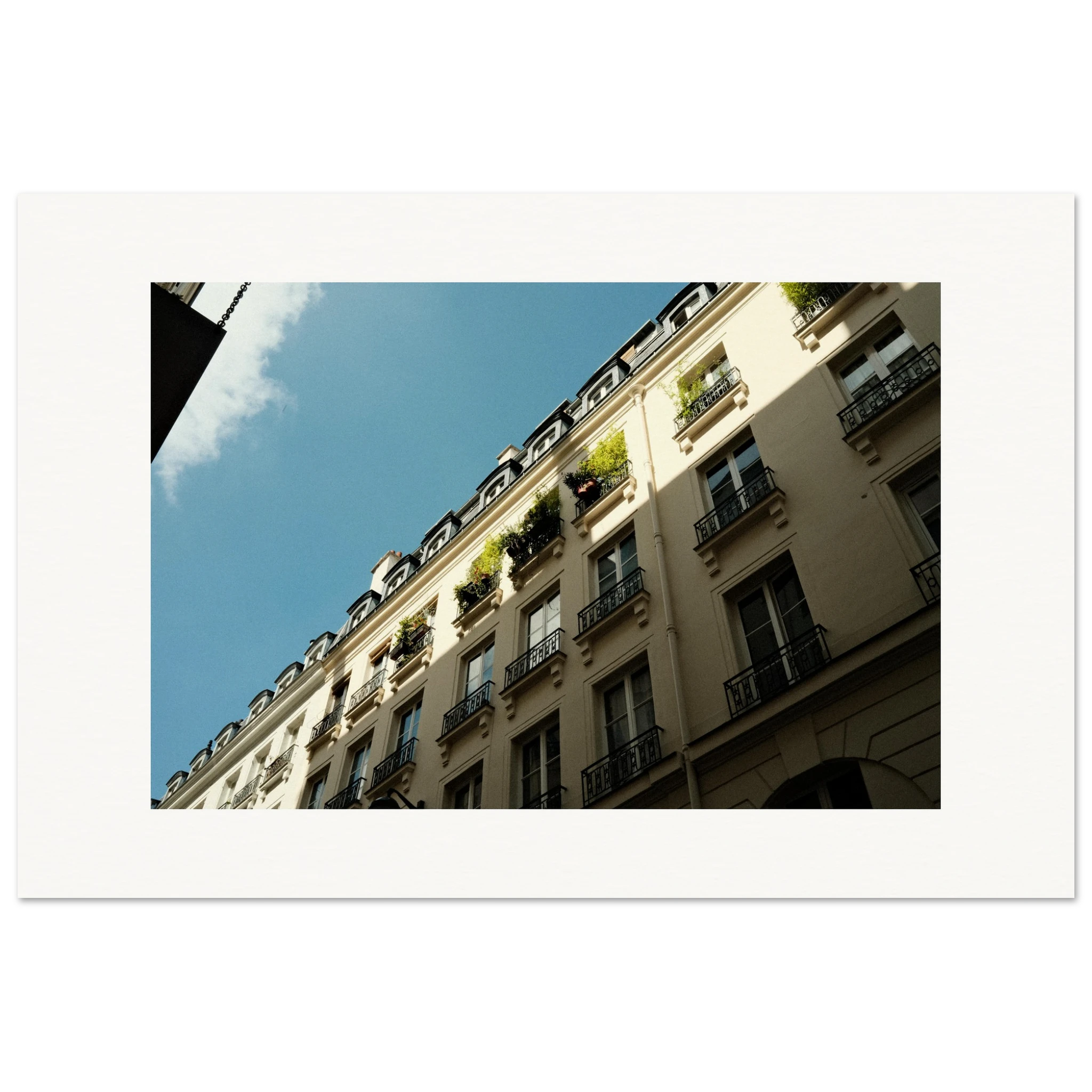 8f5c5ec5-a64e-4aac-869b-4ba0152c50d4