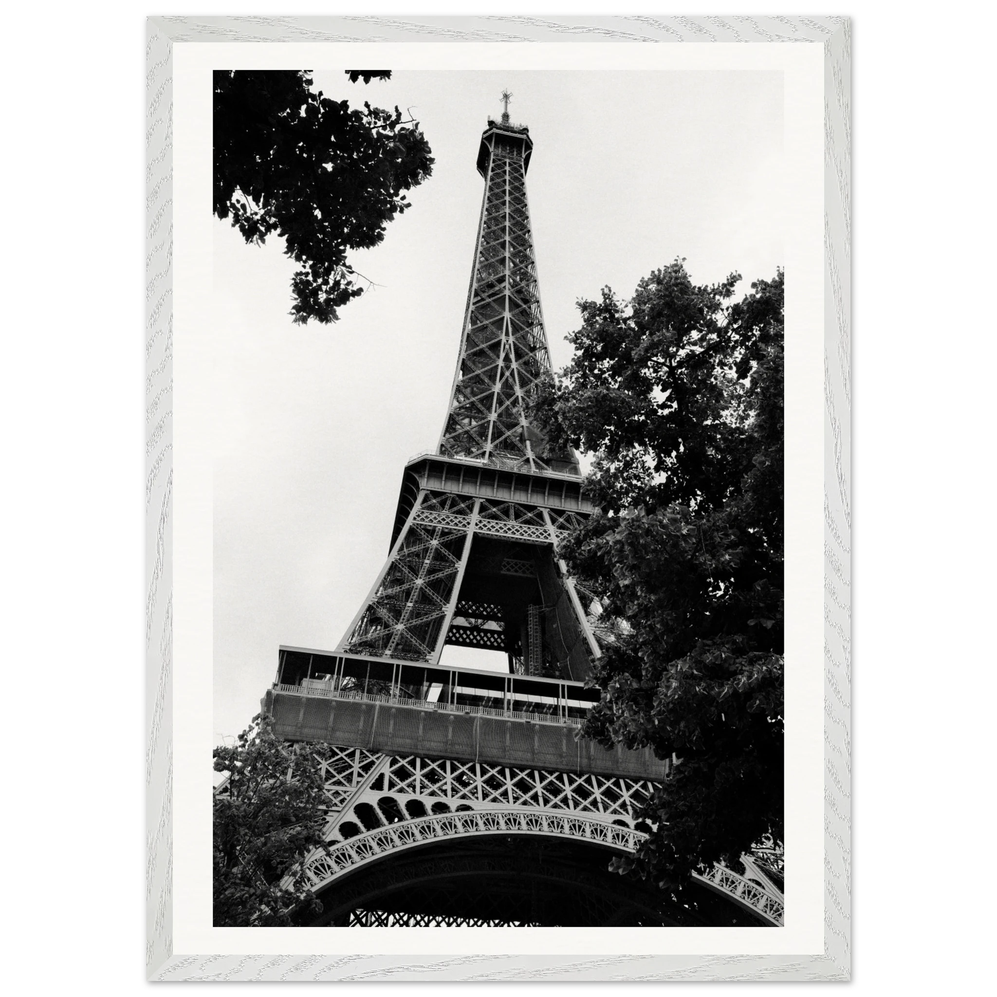 a9e68849-e942-4aea-82aa-7b155d66e6a6