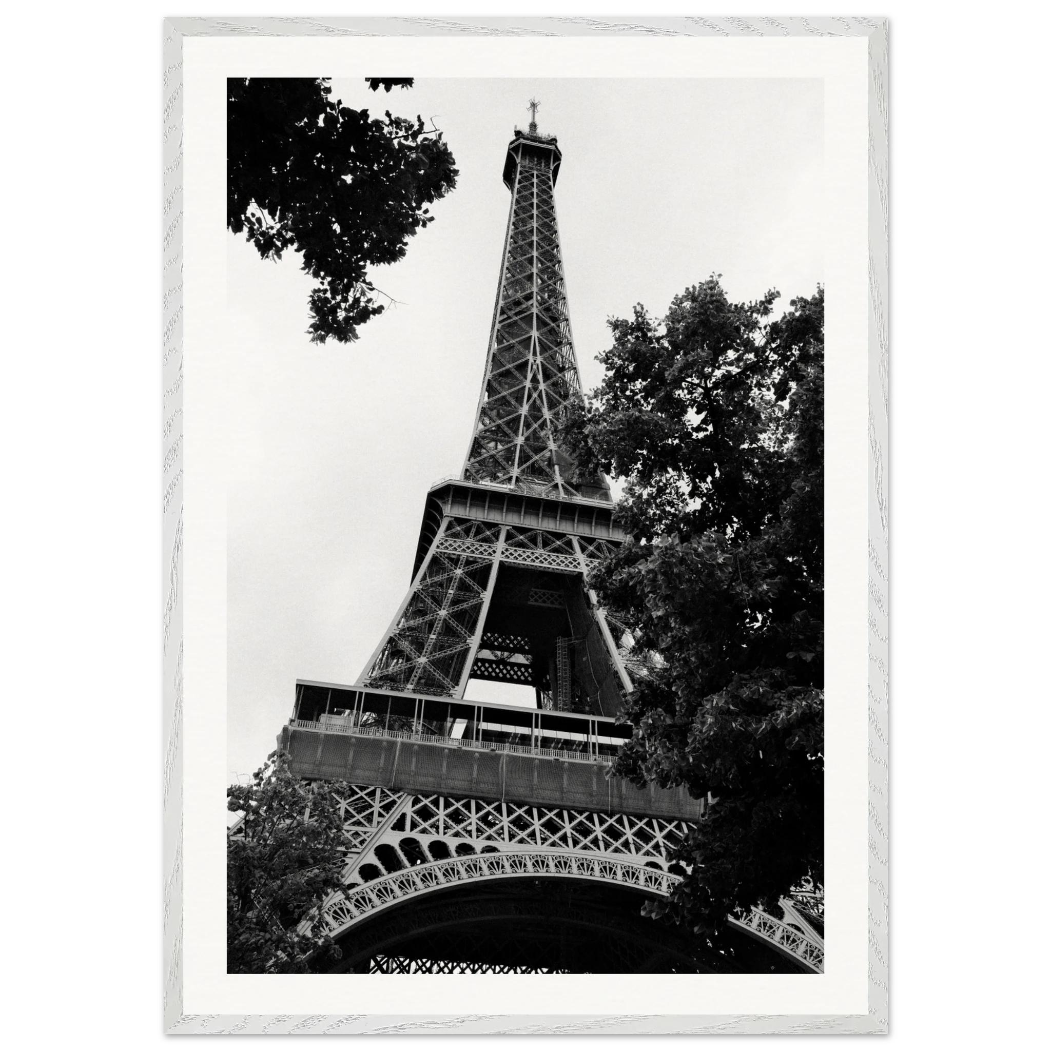 ae4e7757-1a81-4c71-95cc-bbb63d75acd3