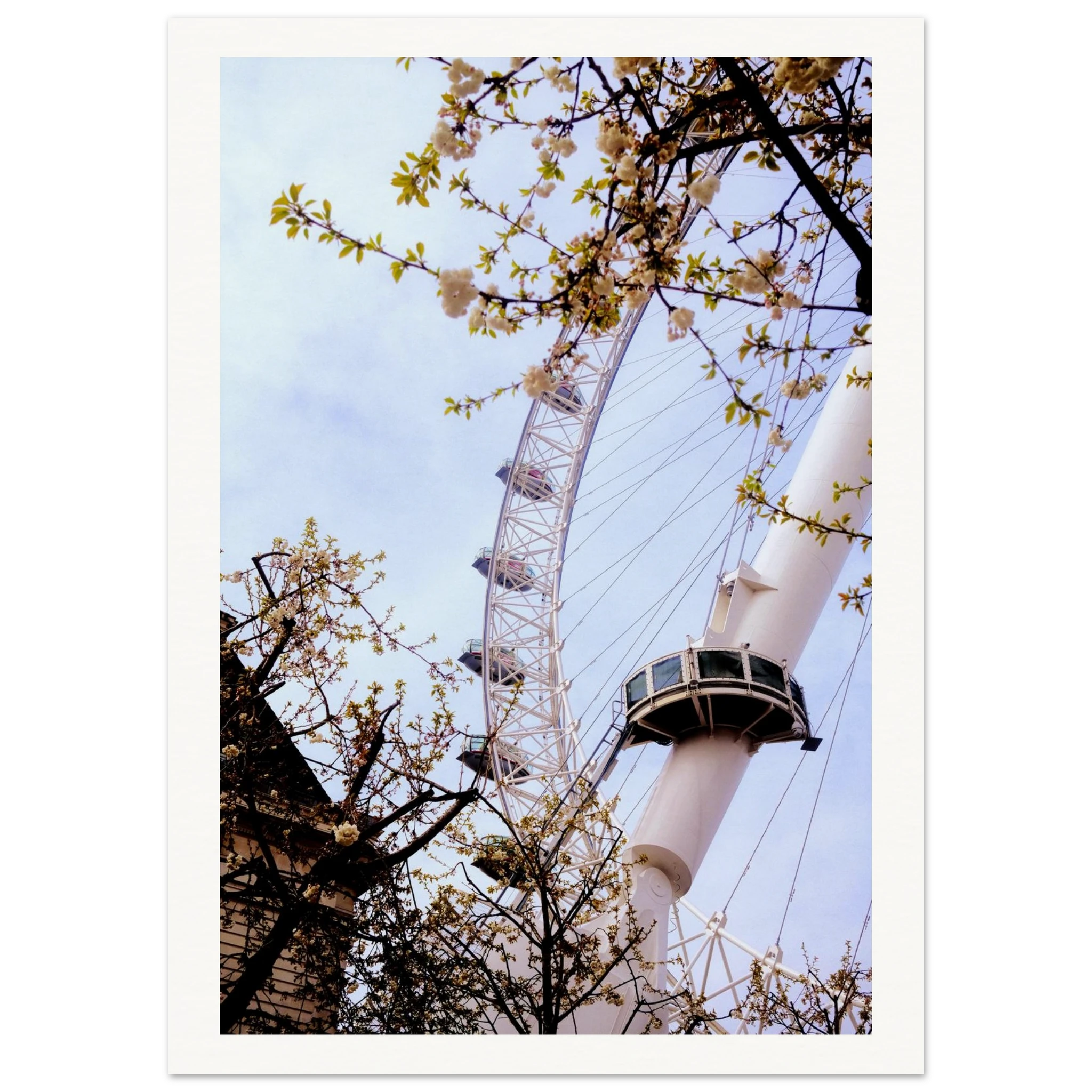 ca649e79-f3dc-4122-9857-44ccc4852464