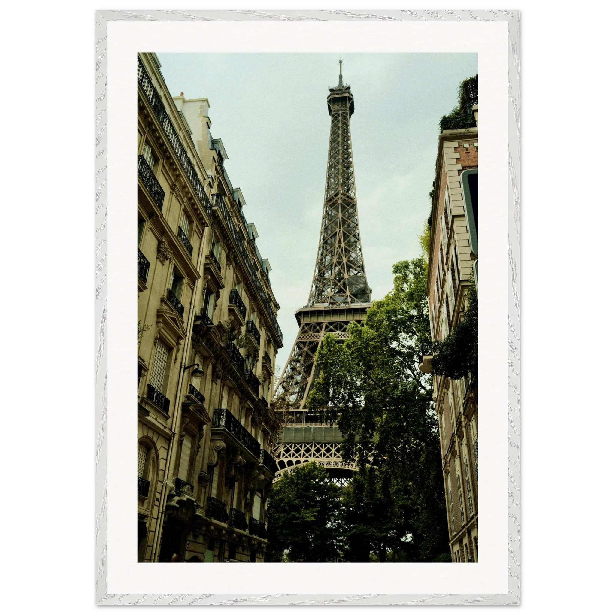 d3594067-4a9d-442a-932f-9ea73360957a