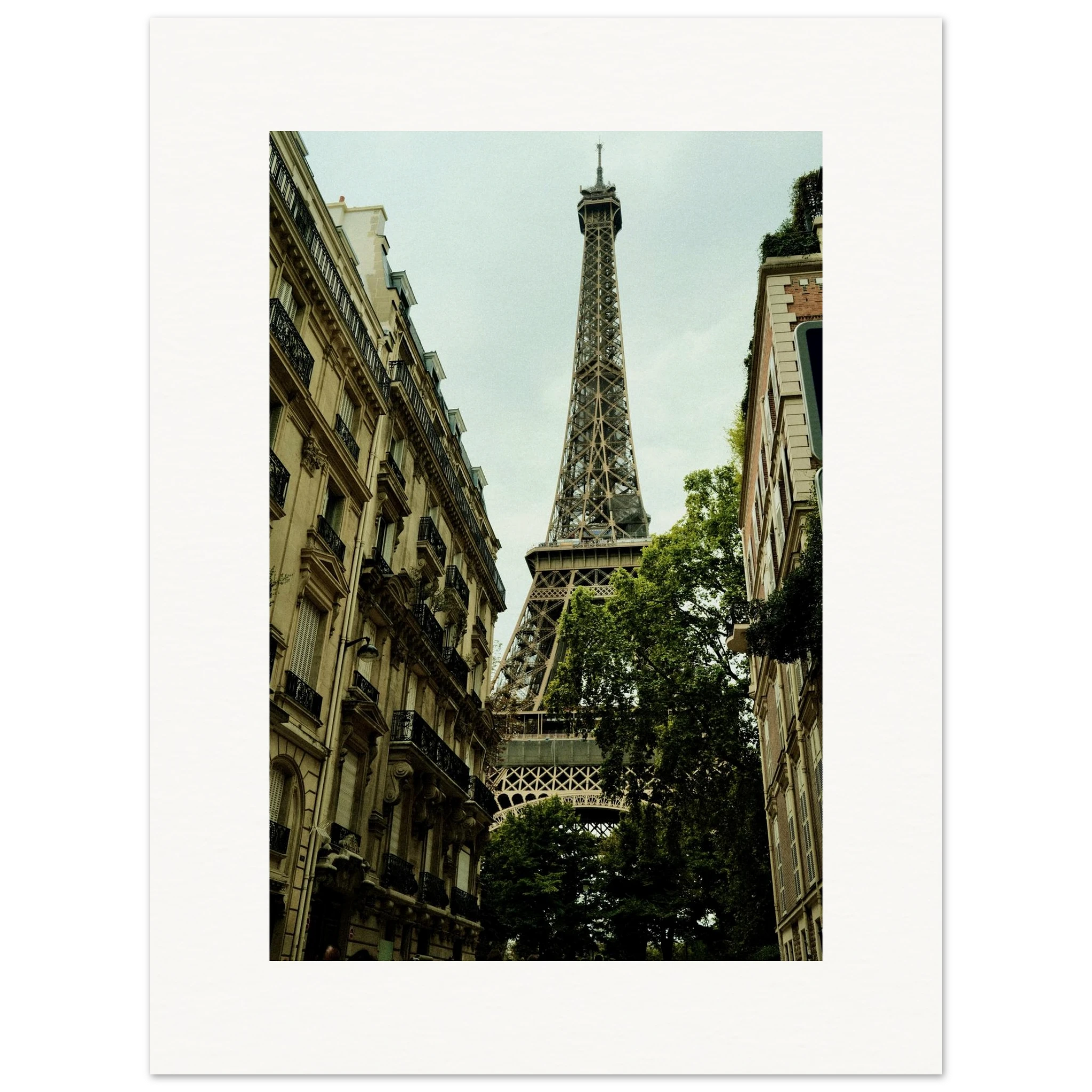 d5ead223-a734-4faa-9af2-6d97a679b1b1